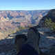 Illustration for article titled Grand Canyon - South Rim Style